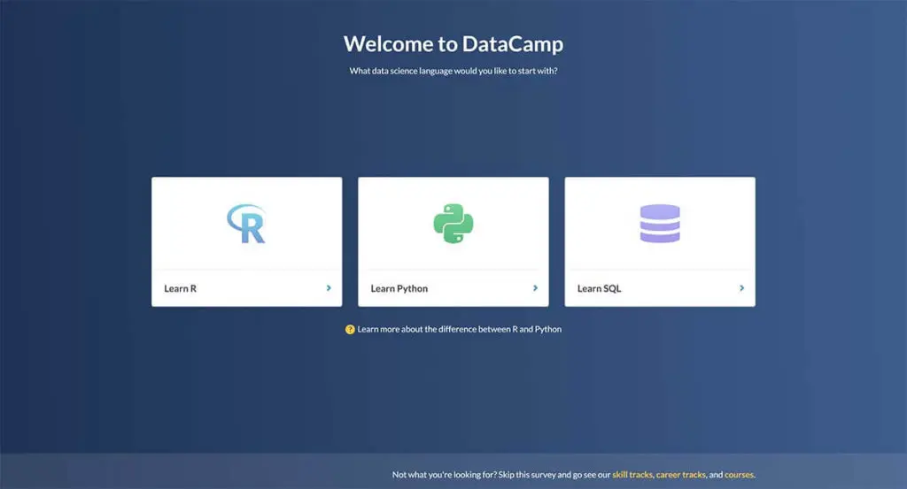 DataCamp introductory survey