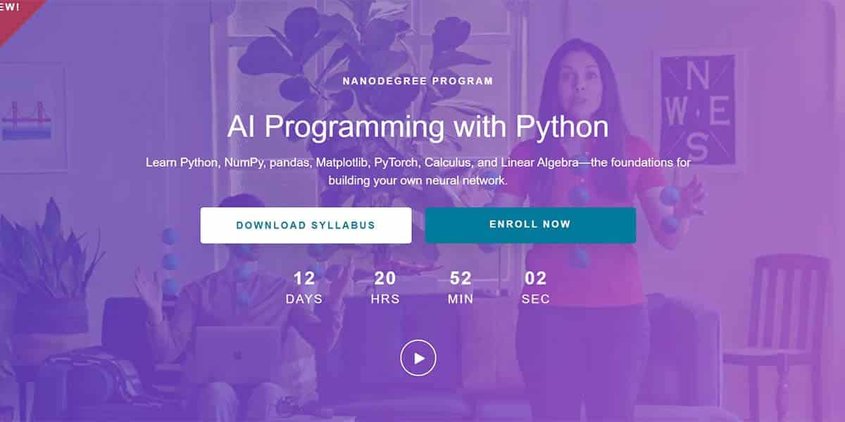 Best for Artificial Intelligence: AI Programming with Python Nanodegree (Udacity)