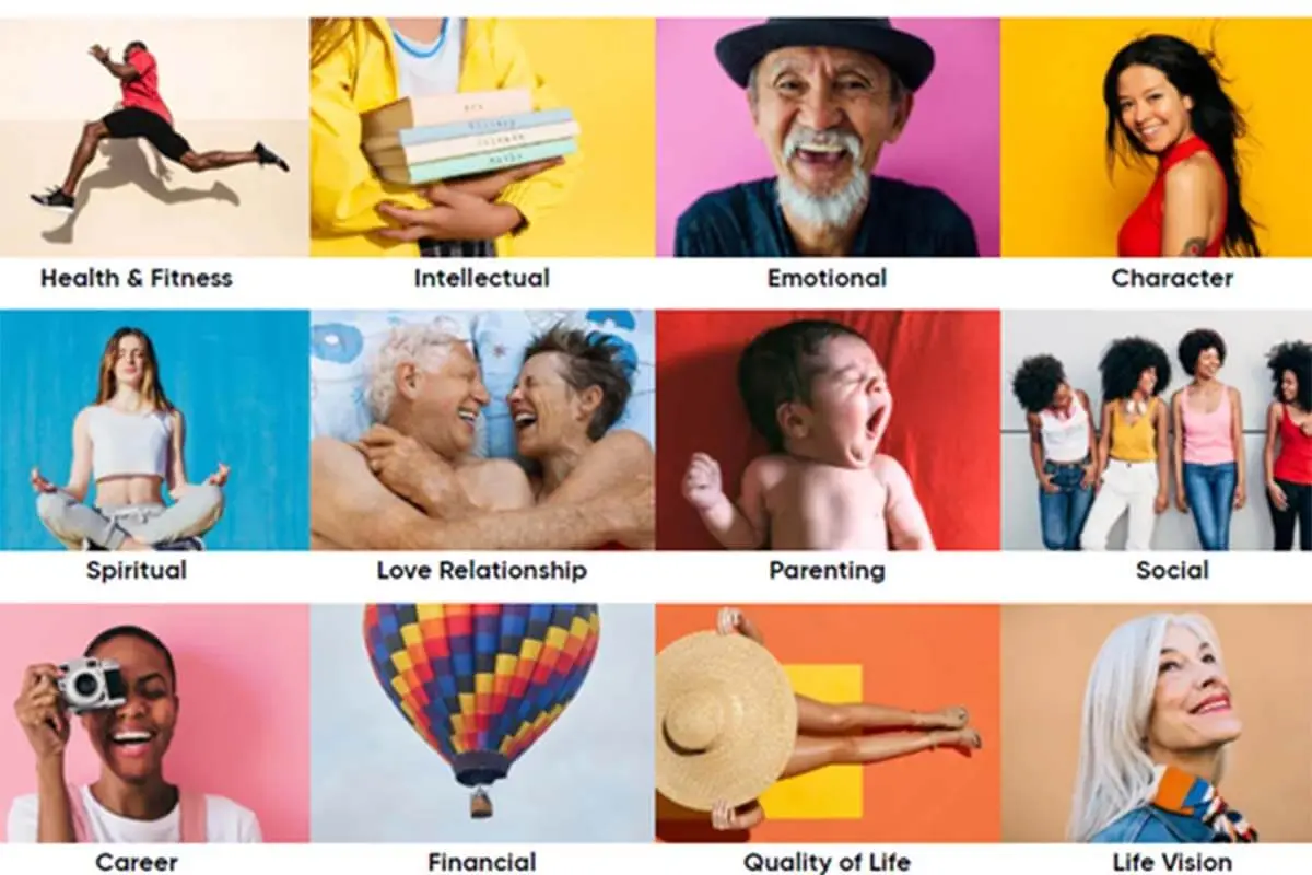 Categories of Lifebook