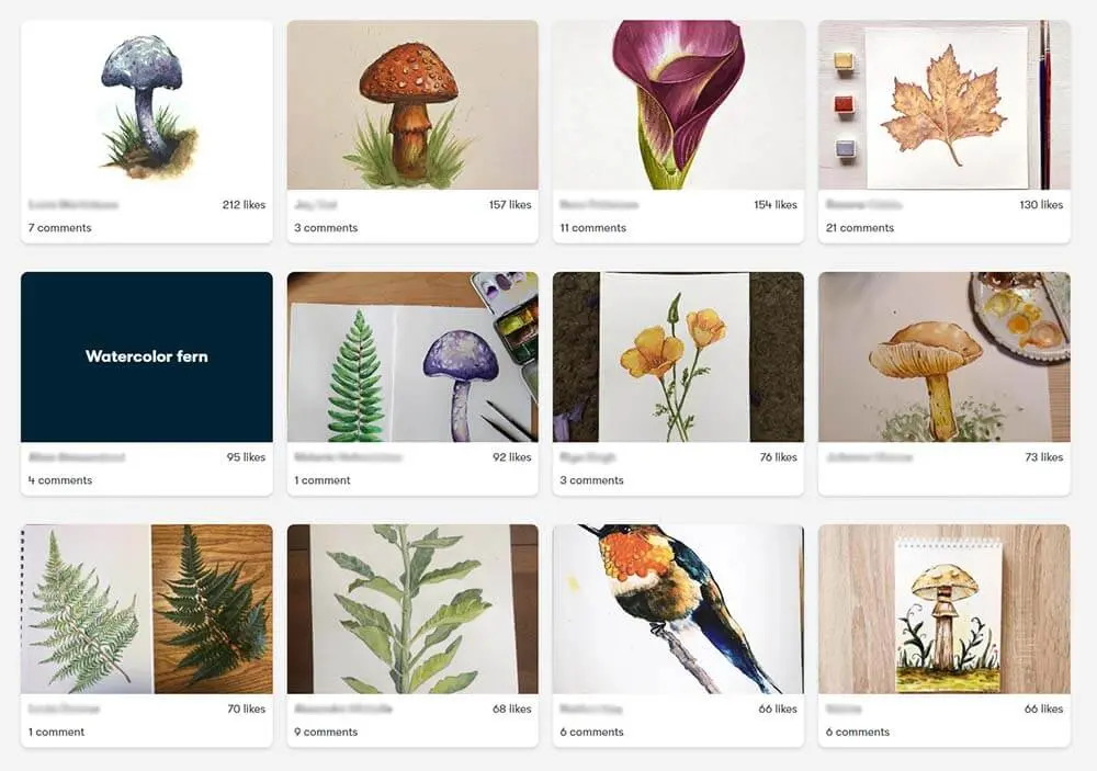 Online course student watercolor paintings