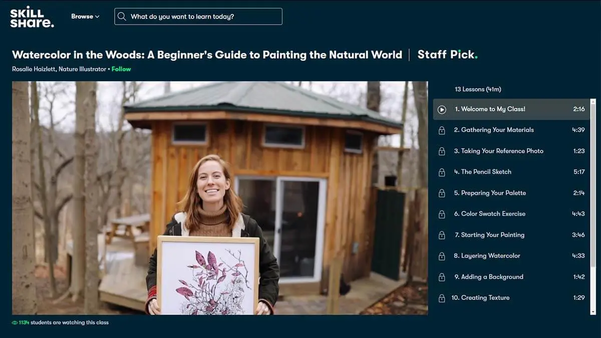 Best Overall:  Watercolor in the woods: a beginners guide to painting the natural world (Skillshare)