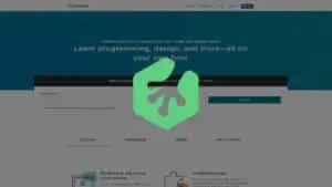 Team Treehouse Review