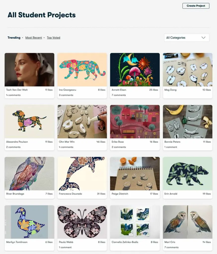 A selection of Skillshare student projects