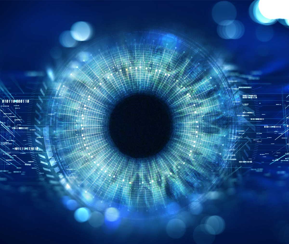 Digital representation of the iris of an eye