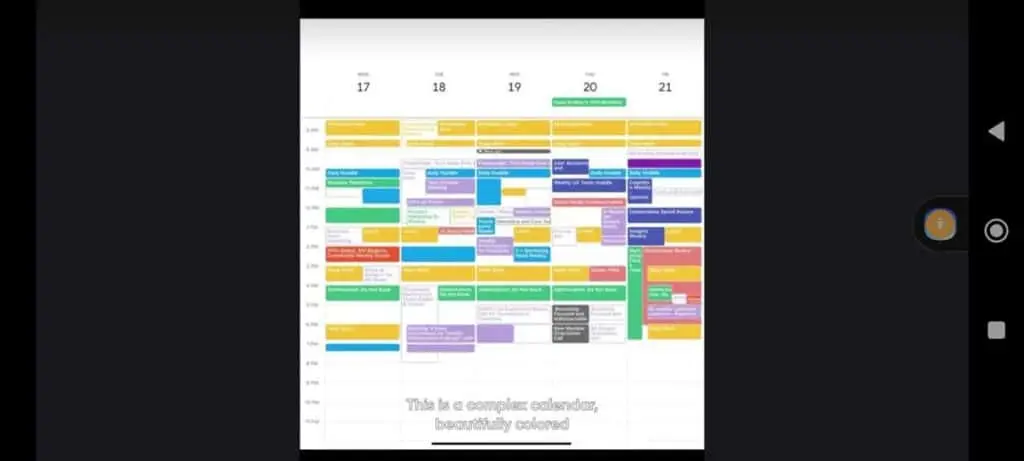 A (blurred) screenshot Vishen Lakhiani's calendar