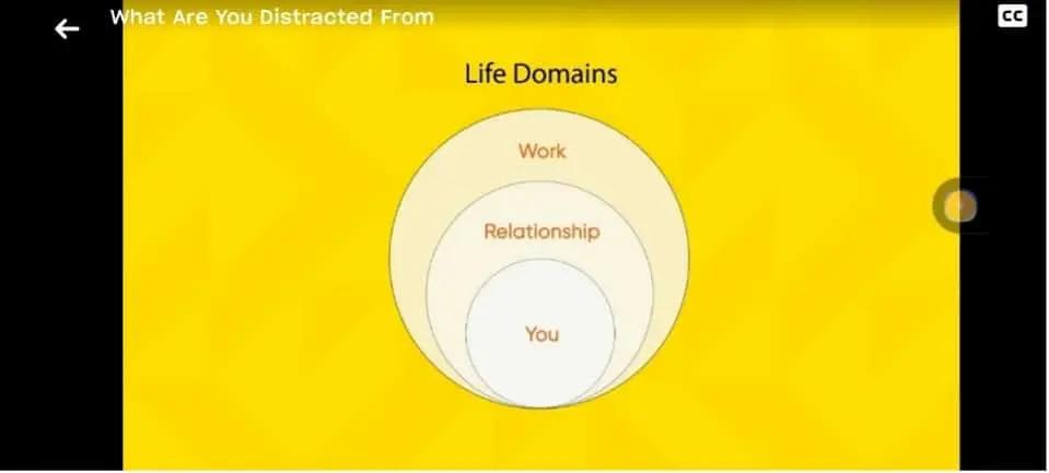 The life domains covered by the quest – in other words, everything