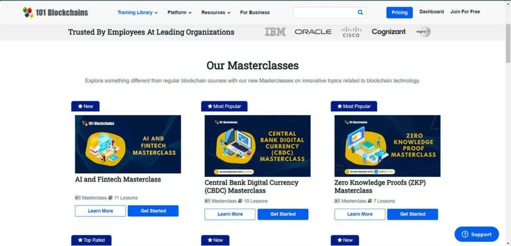 Masterclasses Offered by 101 Blockchains