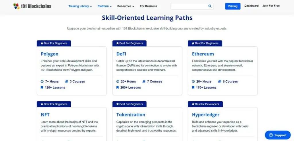 Skill Learning Paths for Individuals Exploring Specific Blockchain Skills