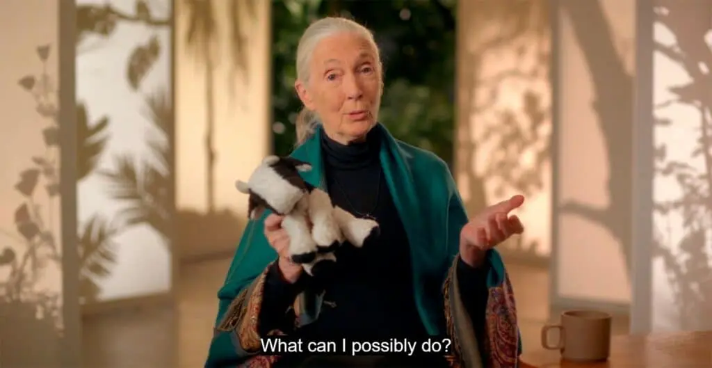 Jane Goodall talks about Advocacy strategies