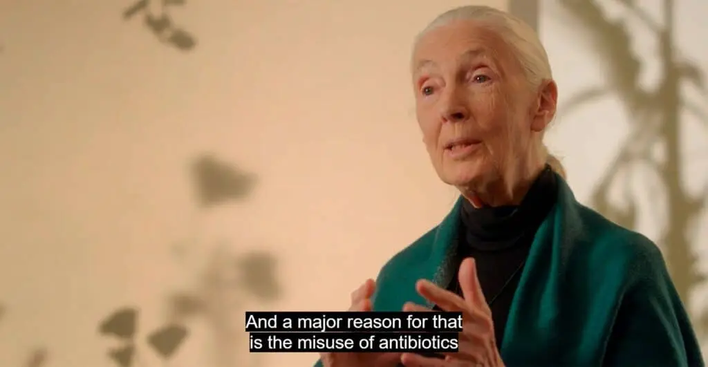 Jane Goodall talks about Food as activism