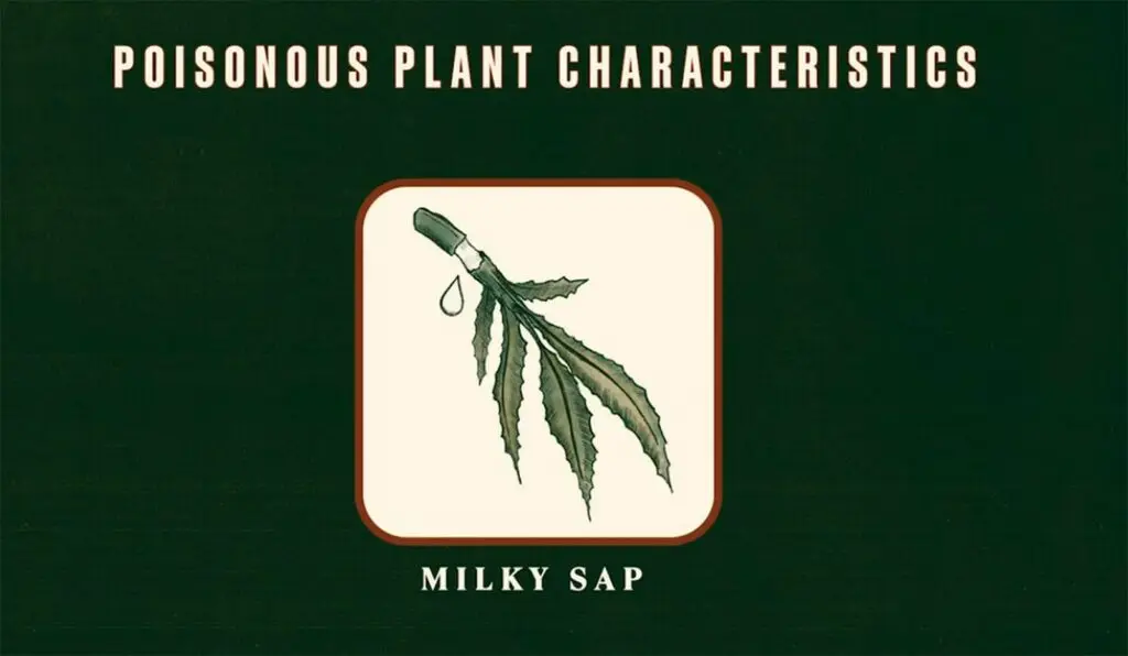 Assisting you in recognizing potentially harmful plants