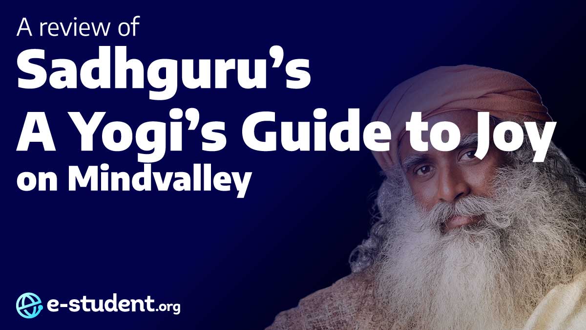 A Yogi's Guide to Joy review