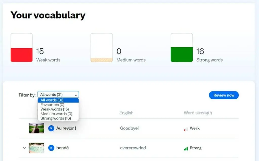 This is what the 'Review your vocabulary' feature looks like