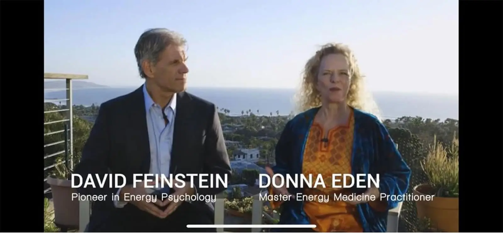 Trainers Donna Eden and David Feinstein from Energy Valley