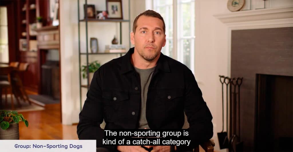 Brandon McMillan discussing different dog breeds and groups