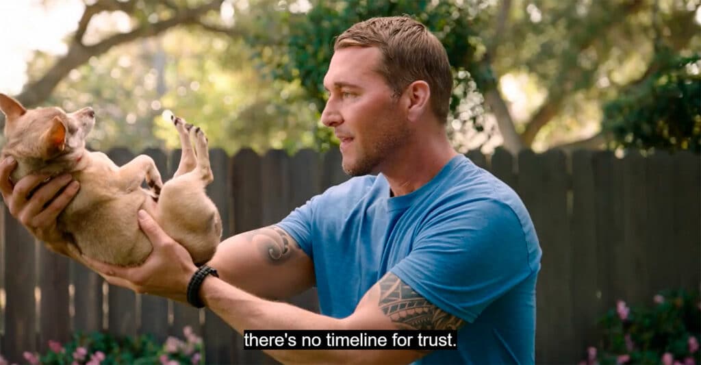 Emphasizing that building trust with dogs with a difficult past requires time and patience