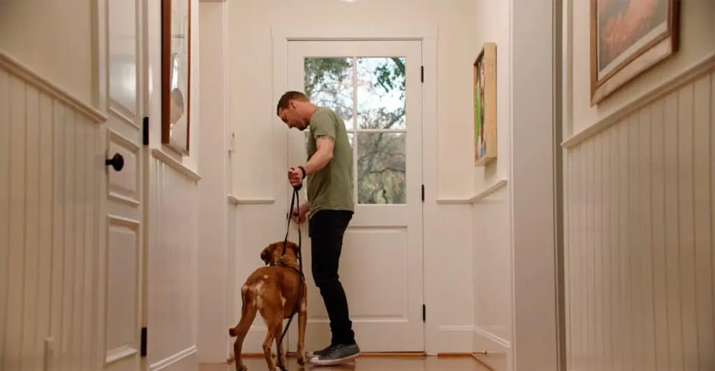 Brandon training Rufus not to doordash