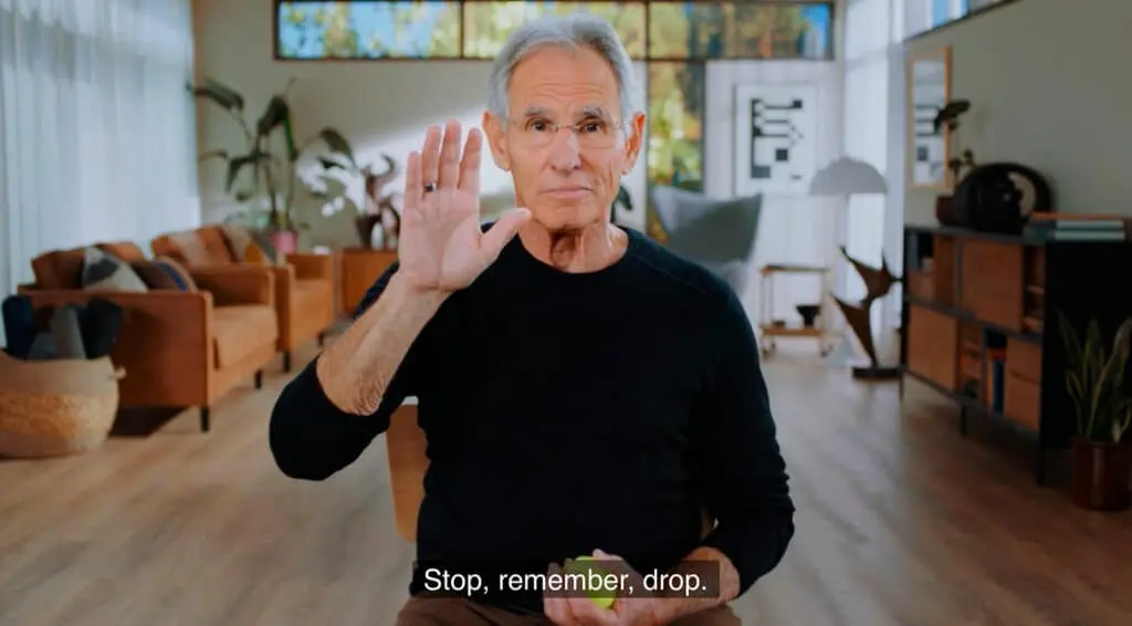 Pause, and like a ball, drop into yourself